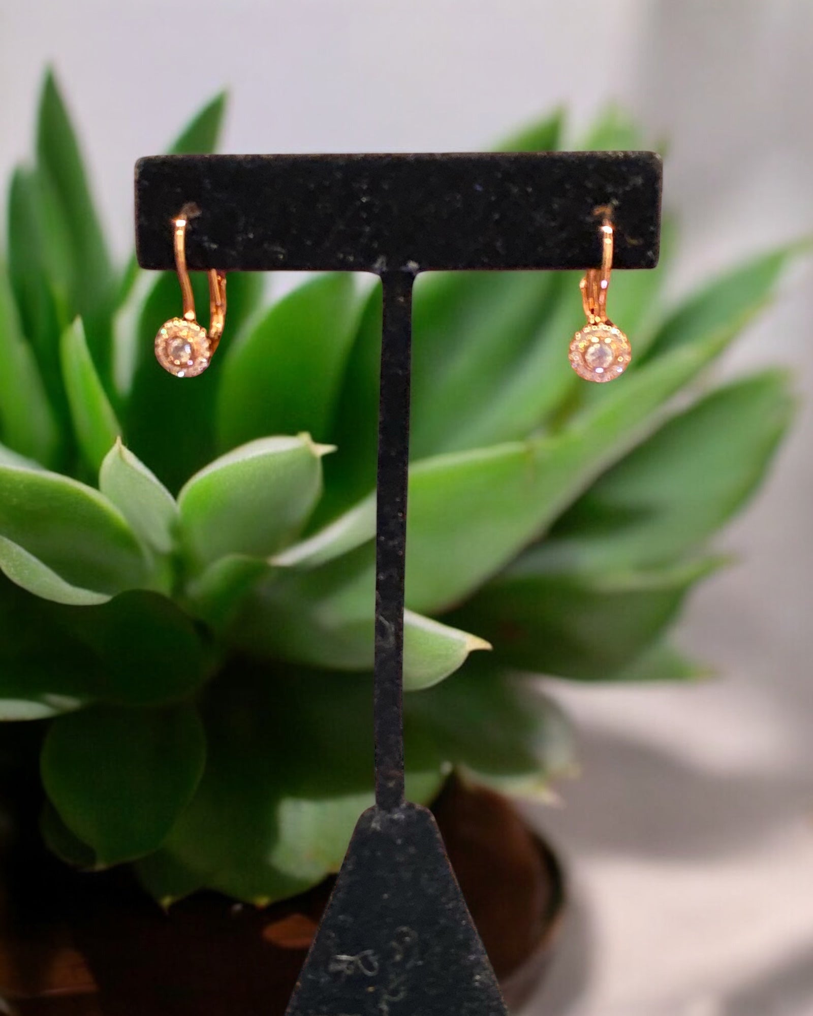 Bling Collection - Moissanite Stud Designer Earrings (Sterling)