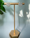 Bling Collection - Moissanite Stud Designer Earrings (Sterling)