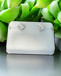 Bling Collection - Moissanite Stud Designer Earrings (Sterling)