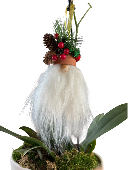 Pot Head Gnome